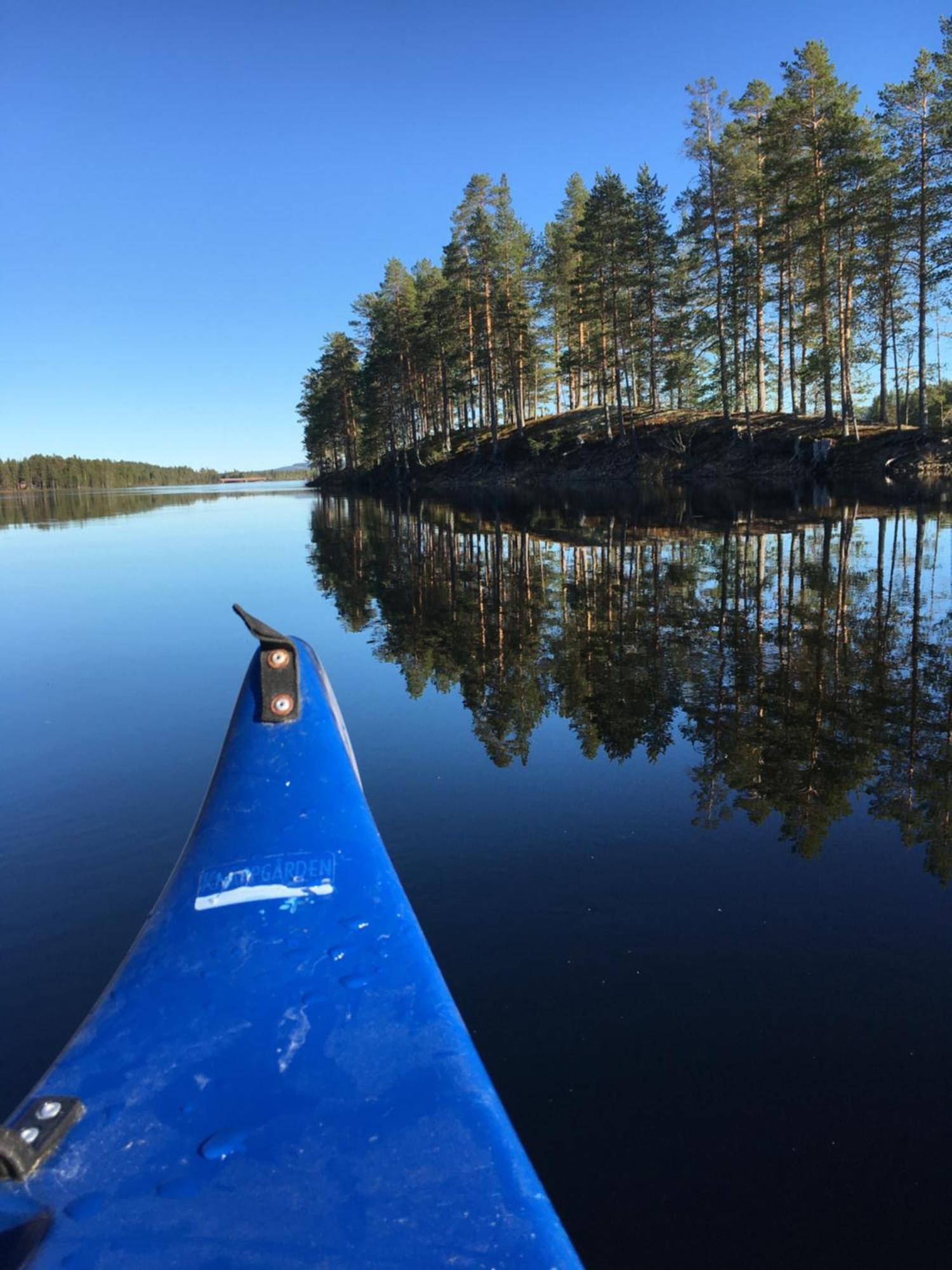 Knappgarden Särna Zewnętrze zdjęcie