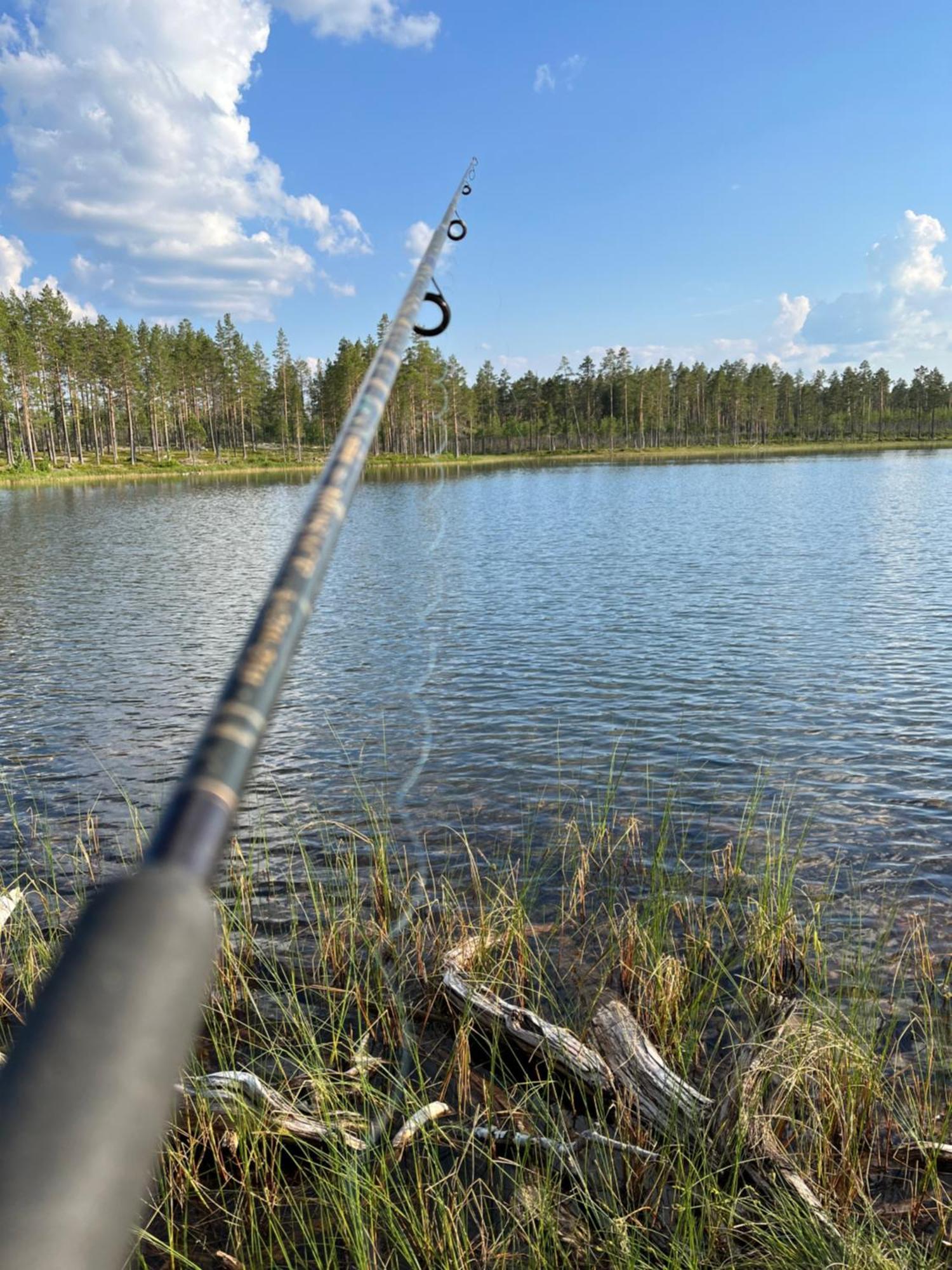 Knappgarden Särna Zewnętrze zdjęcie