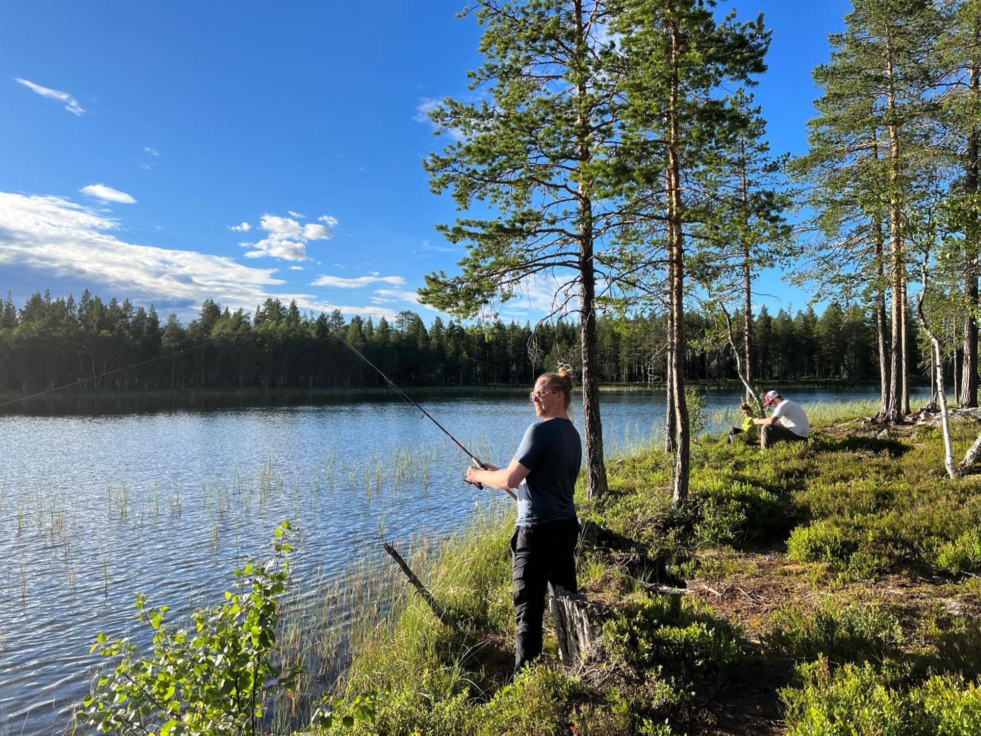 Knappgarden Särna Zewnętrze zdjęcie
