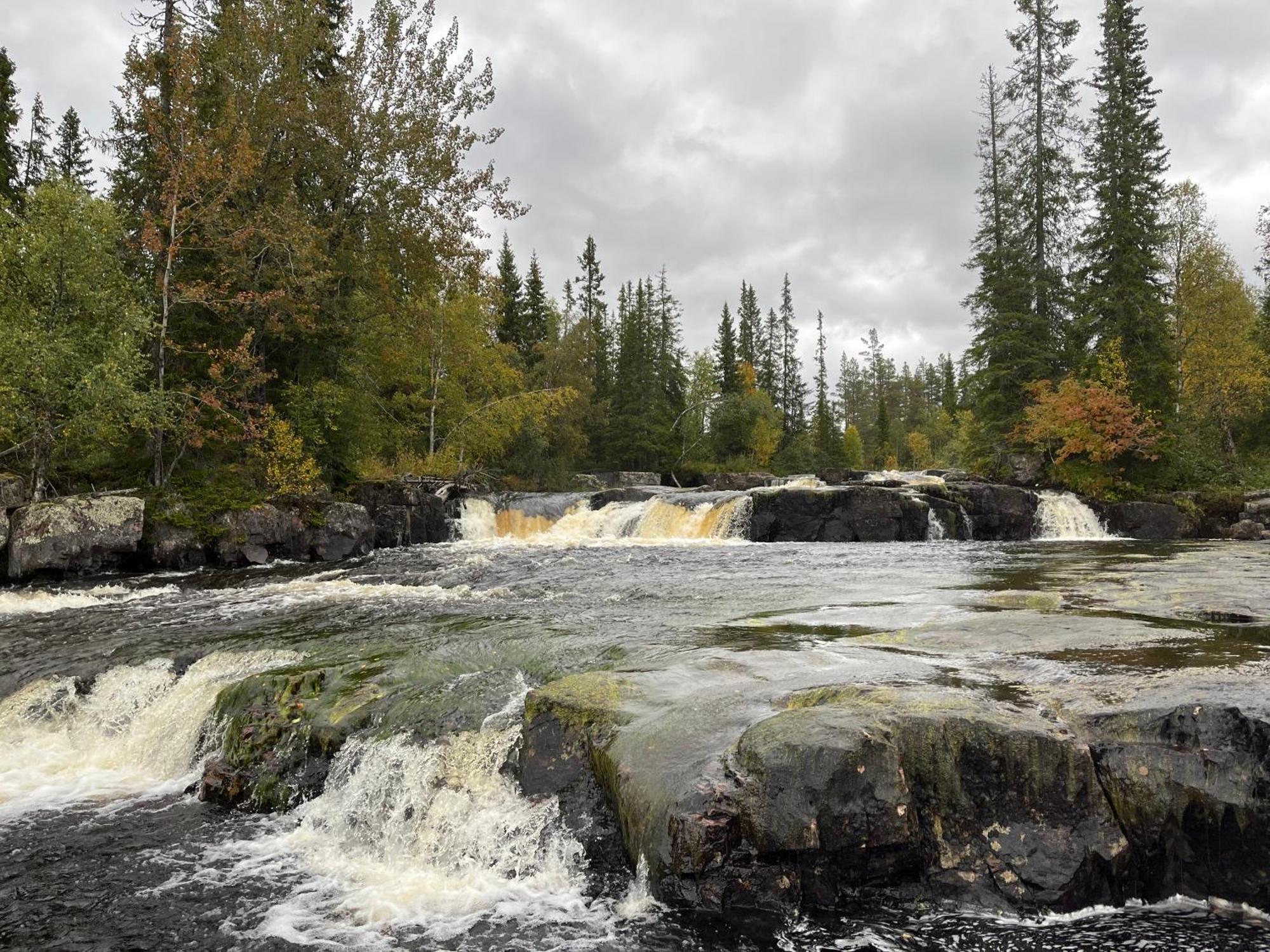 Knappgarden Särna Zewnętrze zdjęcie