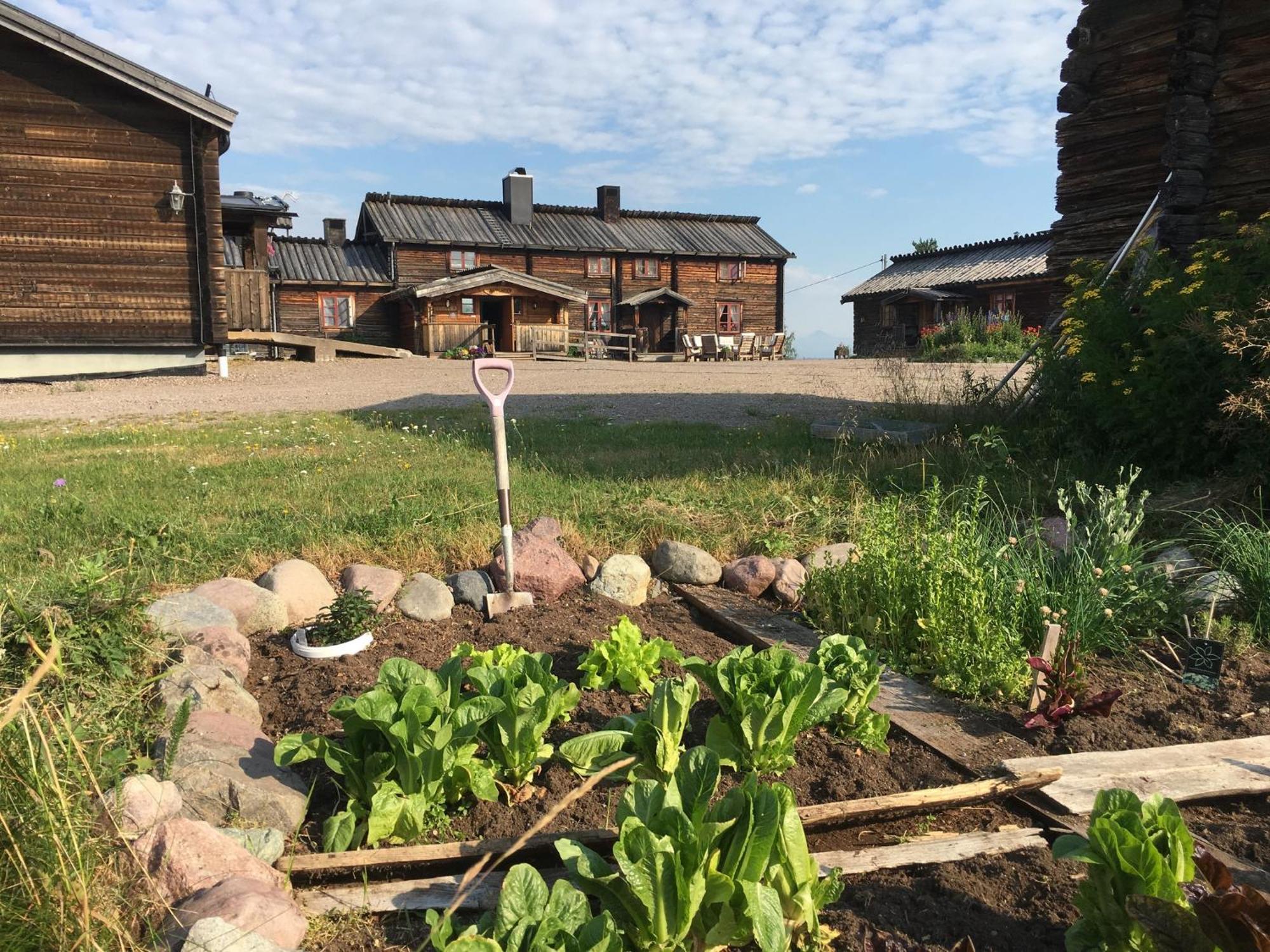 Knappgarden Särna Zewnętrze zdjęcie
