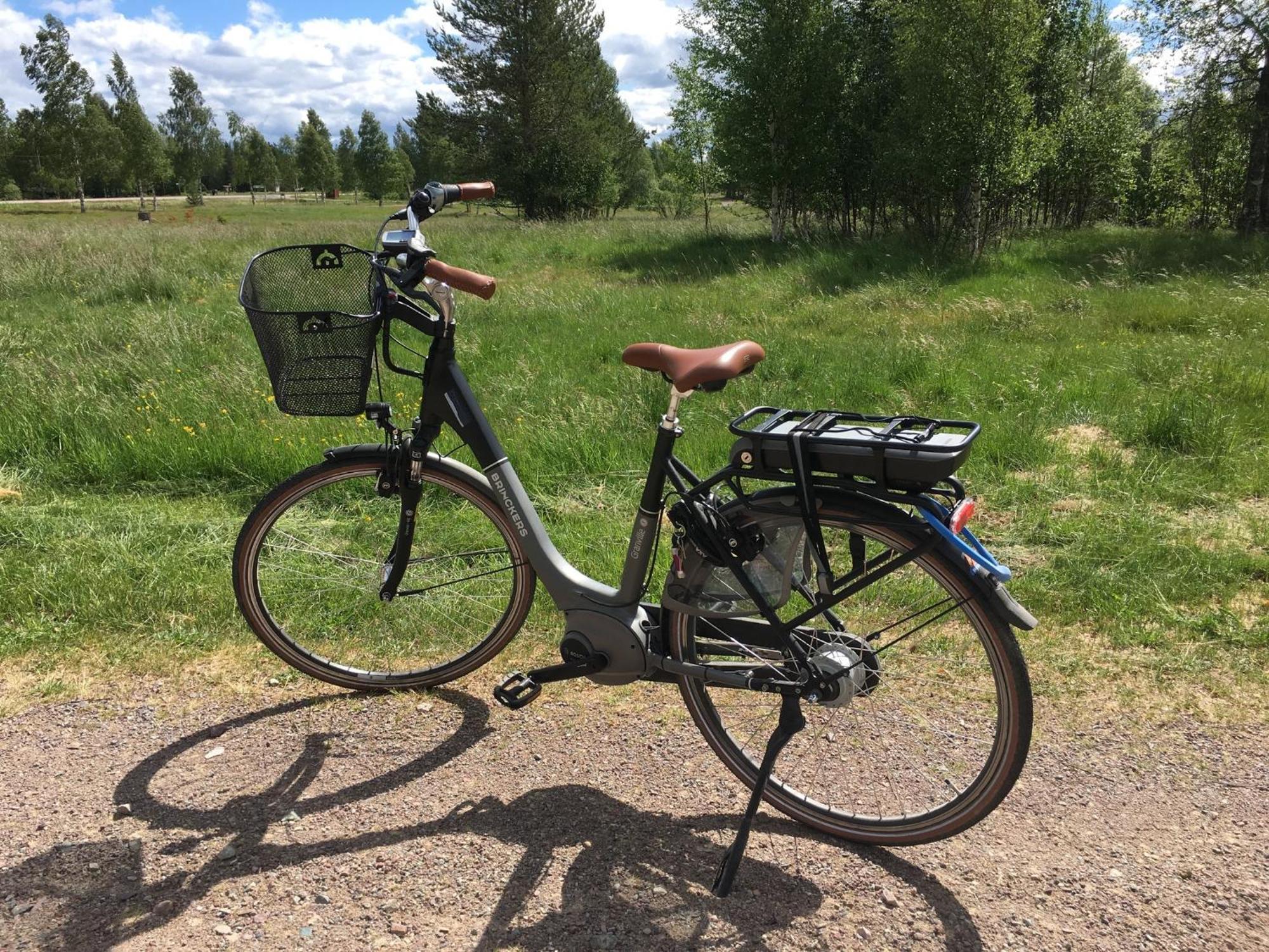Knappgarden Särna Zewnętrze zdjęcie