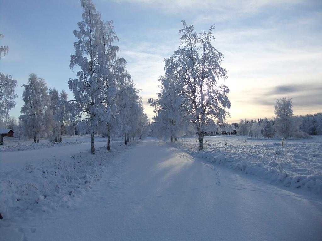 Knappgarden Särna Zewnętrze zdjęcie